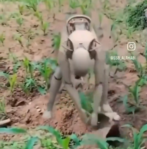 1721683626891-png.3049560