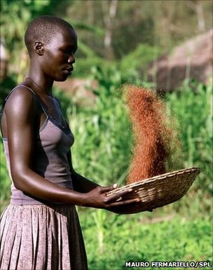 _50246581_woman_preparing_food,_uganda-spl.jpg