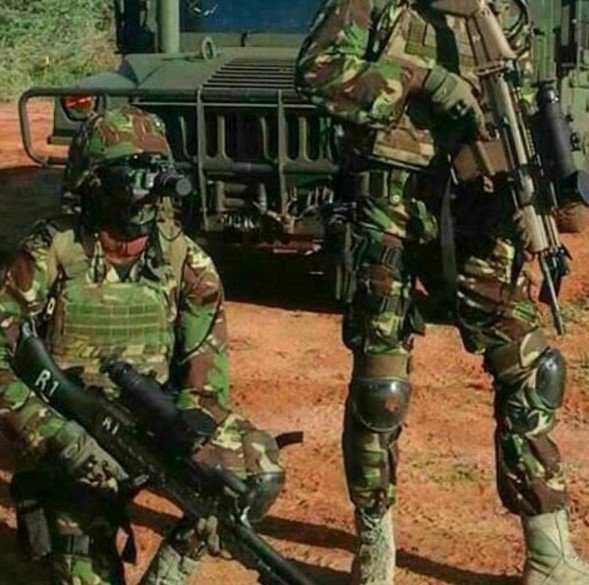 212203_2951ba85d66dea846ae2ef6d2a72732b-jpeg.954924