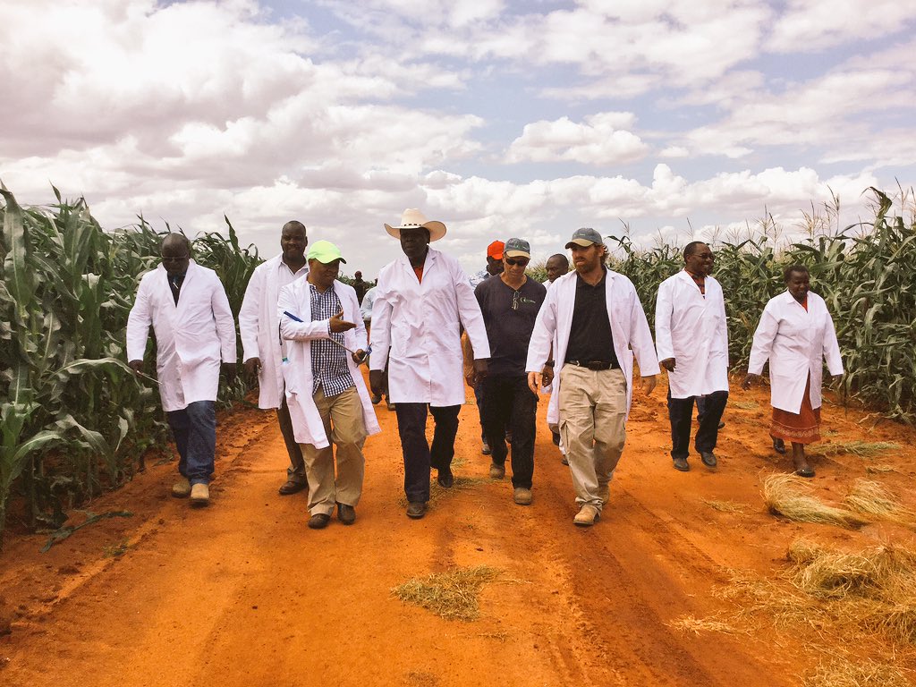 CmbybHjWgAAci1K.jpg:large