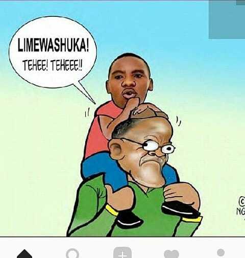 limewashuka-jpg.856190