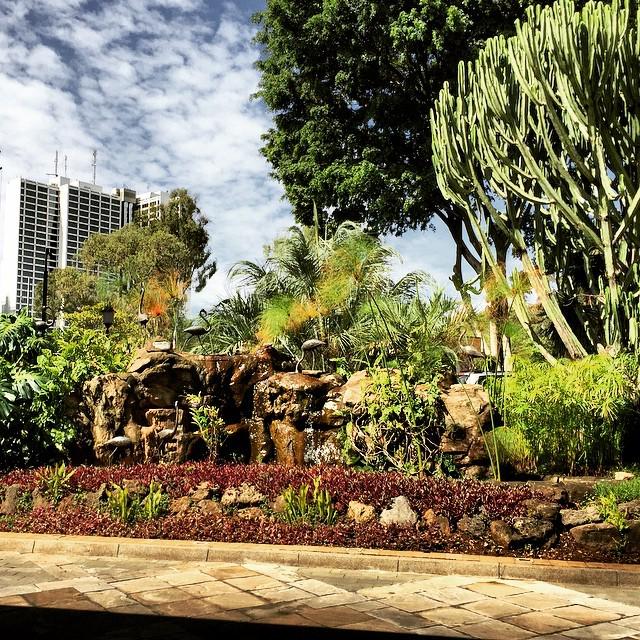 B-CcLPqCYAAKI3A.jpg:large