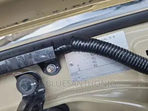 Toyota Land Cruiser 2020 Beige