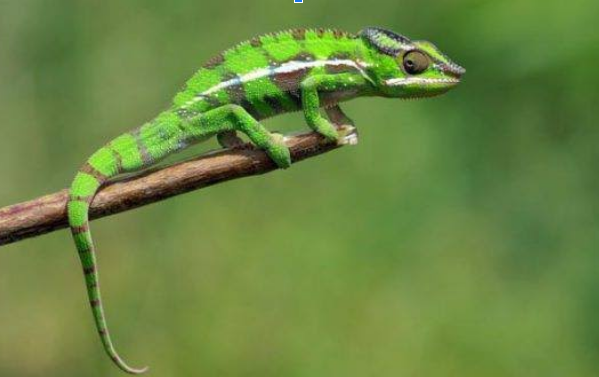 1726212717164-png.3094759