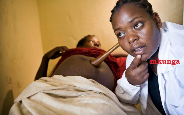 mkunga.JPG