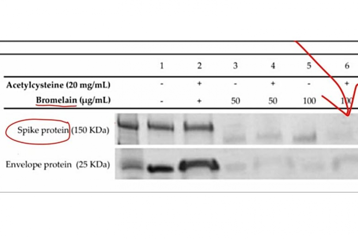 halturnerradioshow.com