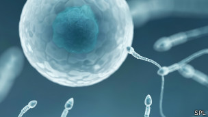 140610161022_sperm_304x171_spl.jpg