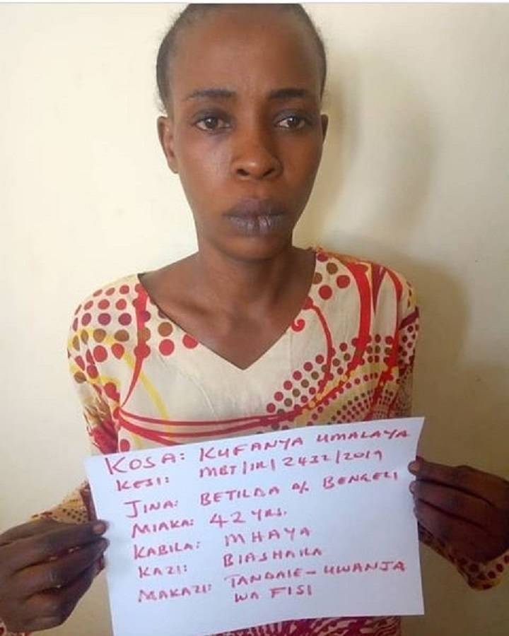 78ccfbb956cf7734e9cc072756adf1ec-jpg.2419045