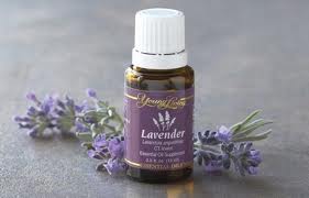 lavender.jpg