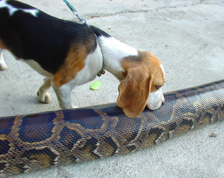 1714210261593-png.2975190