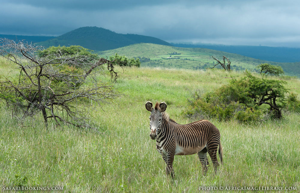 Laikipia_Plateau_002.jpg