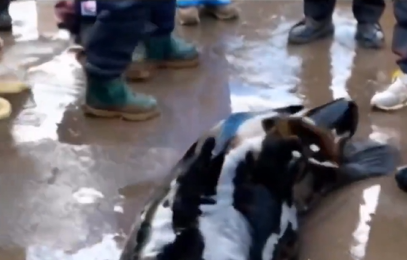 1720604022270-png.3038342