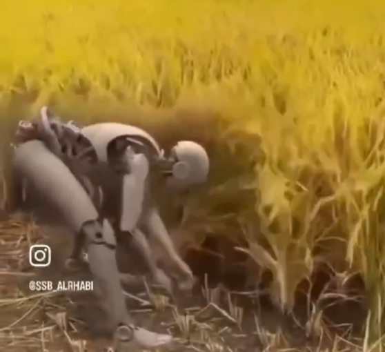 1721684939775-png.3049575