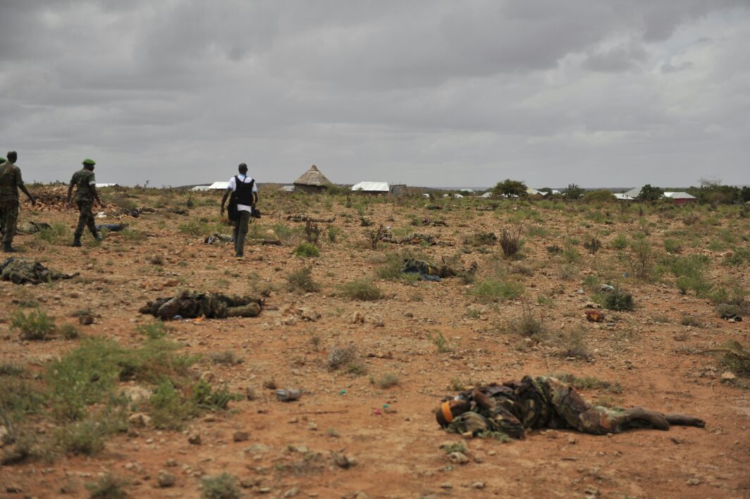 3826391_ckpdv6xeaaox7o_jpeg656c933a0dbfde0b6ef58b16401c9a5a