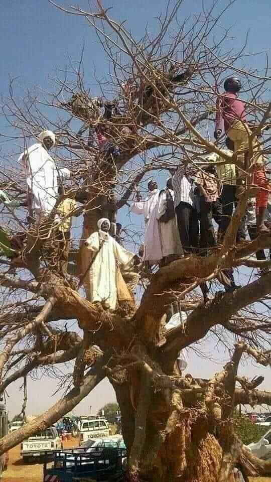 img-20230421-wa0061-jpg.2595430