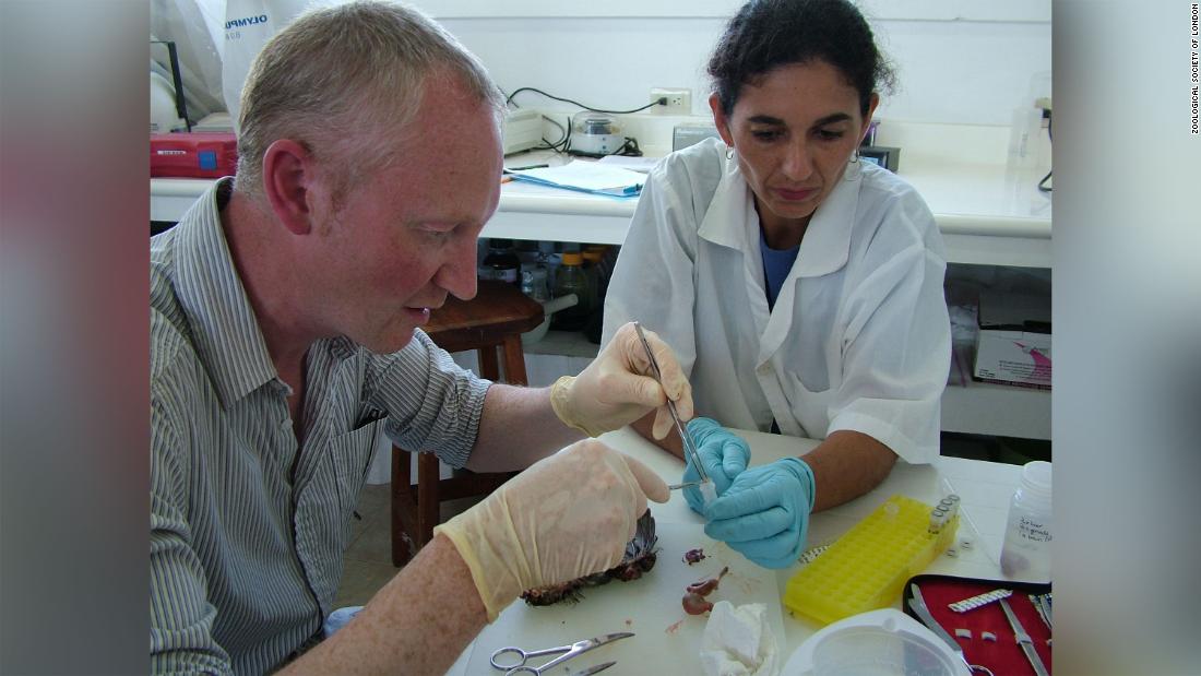 The cause of zoonotic spillover,  or transfer from bats or other wild species, is almost always human behavior, says Professor Andrew Cunningham from the Zoological Society of London.