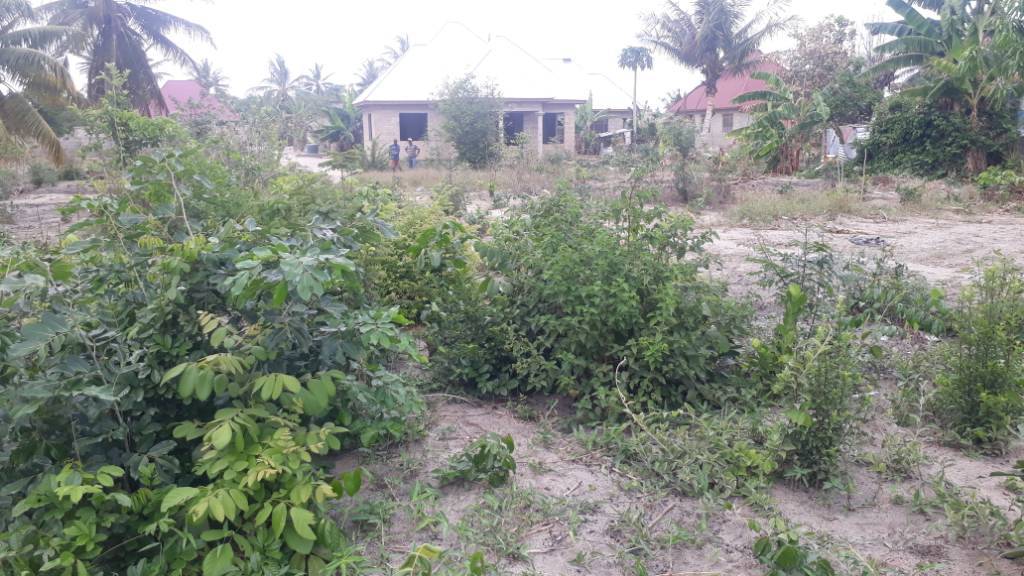 20221116_132549-jpg.2473471