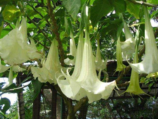 downloadfile-2-jpg.783254