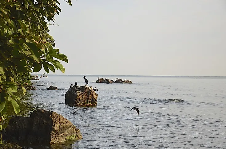 How Big Is Lake Victoria?