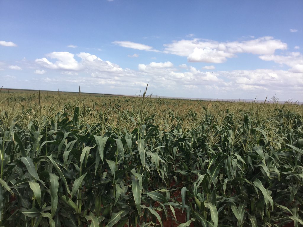 CmbyaOFWEAAidL9.jpg:large