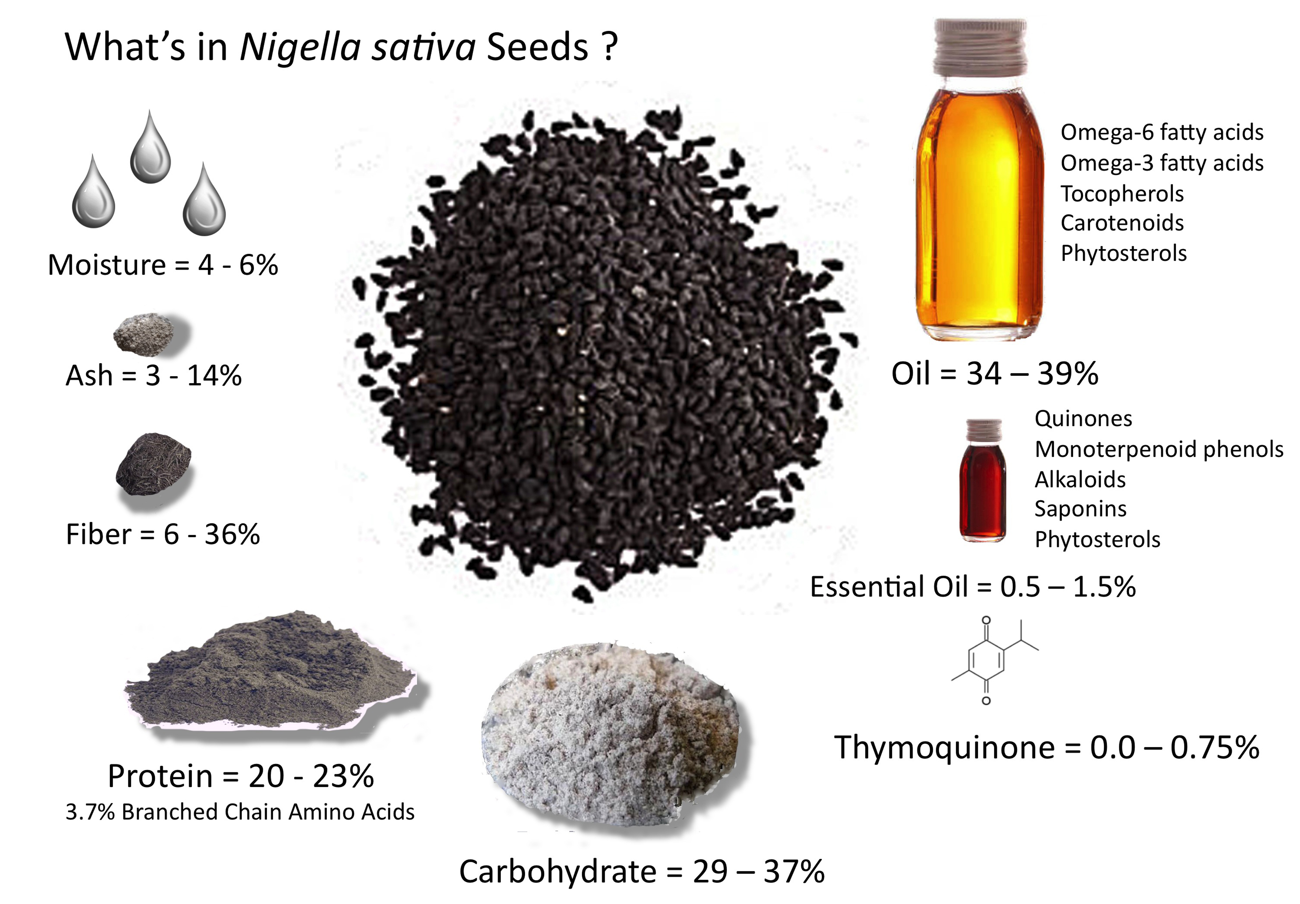 nigellaseedcontents3.jpg