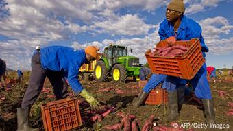 Master zum Themenheader Kann Afrika den Hunger stillen? (AFP/Getty Images)