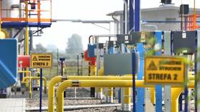 Poland ramps up reverse gas supplies from Germany