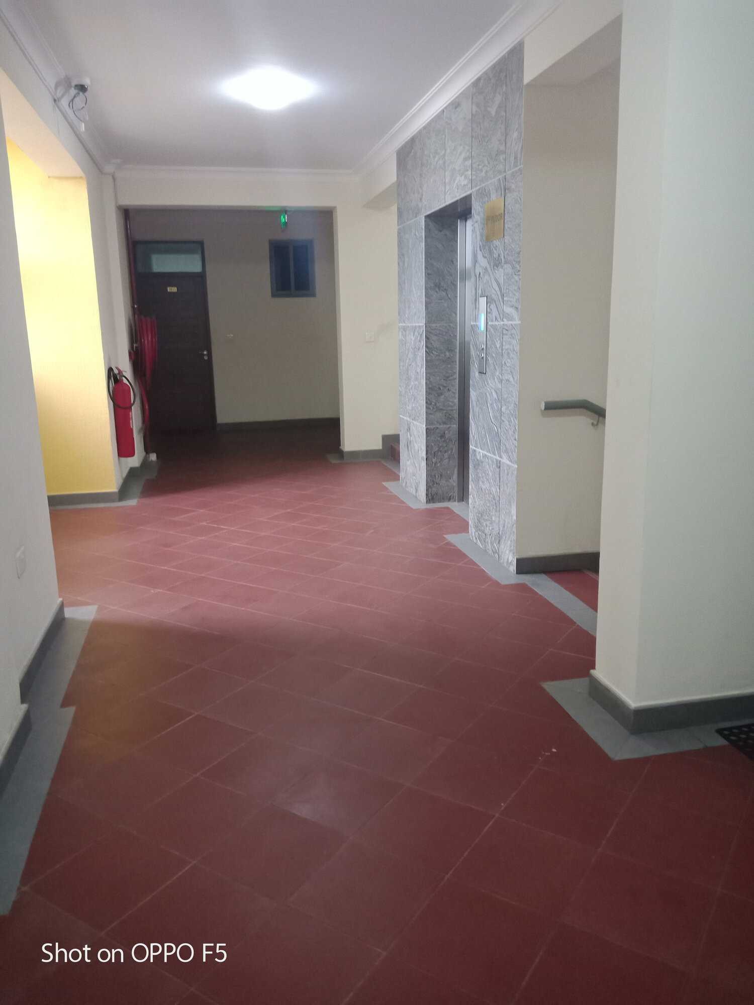 img20190401175607-jpg.1078405