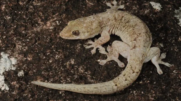 1725827400759-png.3090800