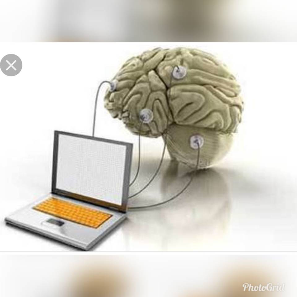 photogrid_1552813510407-jpeg.1047503