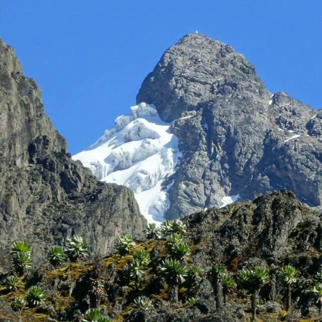Hike-Rwenzori-mountains-safari-4.jpg