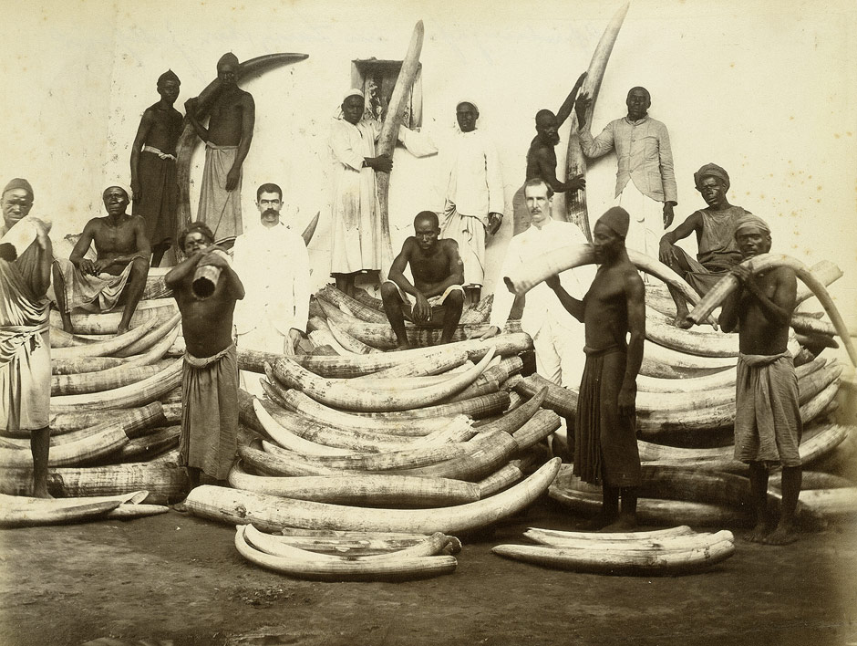 Ivory_1880s.jpg