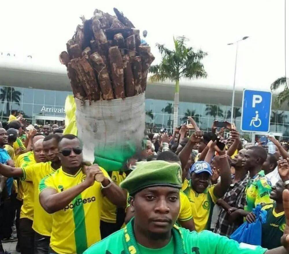 2cded0e4-c72b-4649-872a-f8955b54ddc1-jpg.2588599