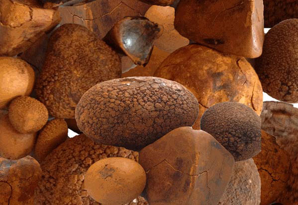 oxgallstonesbuyer.com