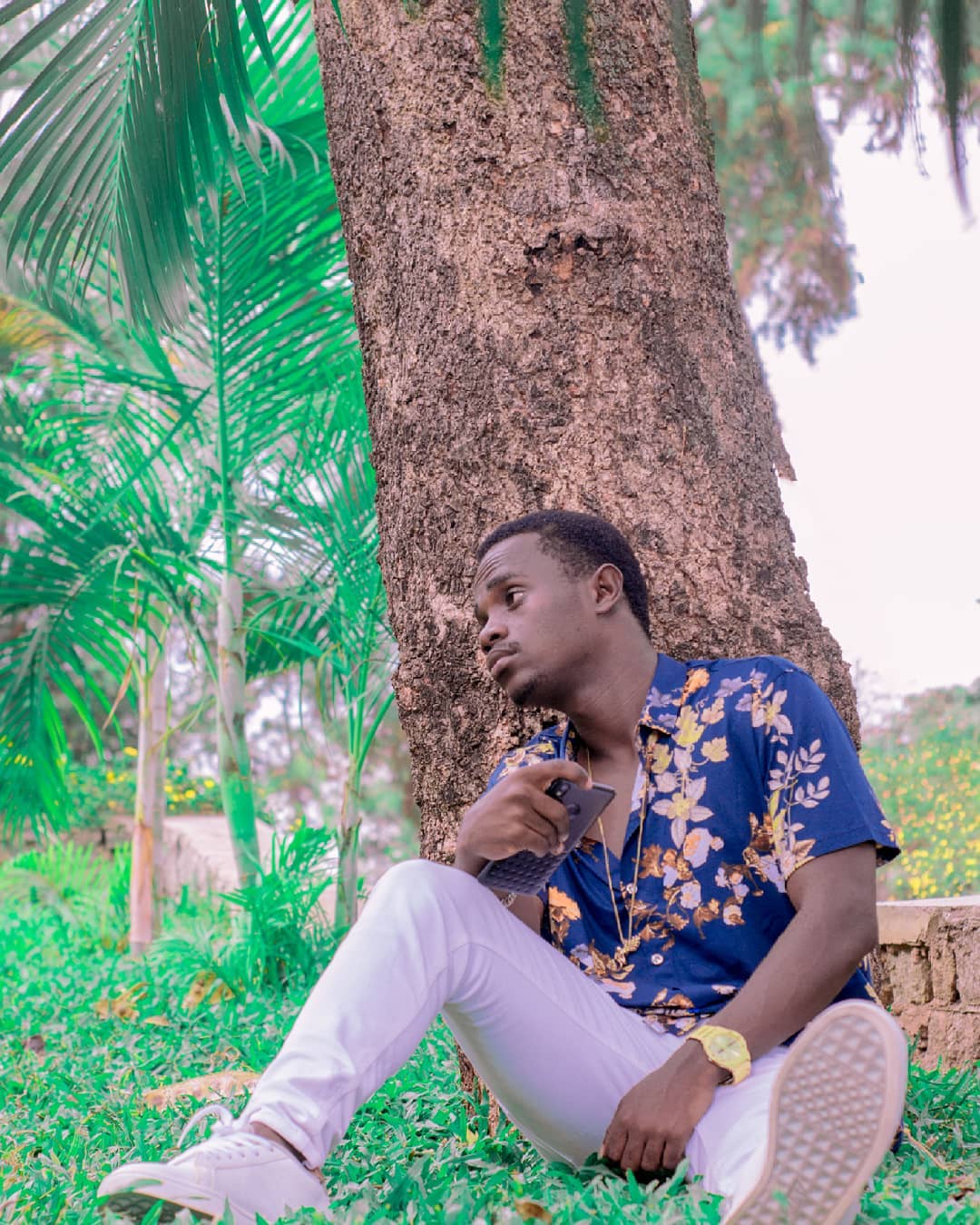 meddy_clever_161487646611960-jpg.3235492