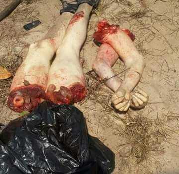 1457104038262-jpg.327381