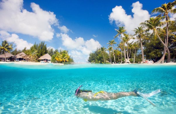 main-qimg-019fe2a2897b1aa0fa5ccb6996266481-lq