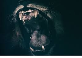 wingulamashahidi.org