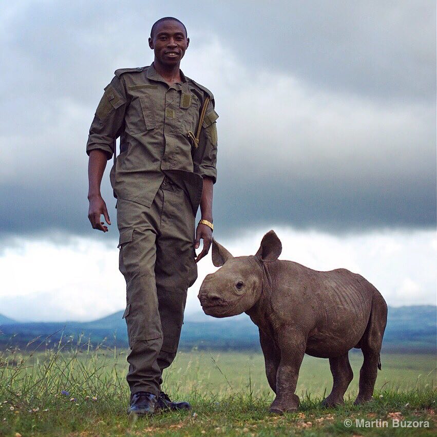 ChMHFZvUUAAeTij.jpg:large