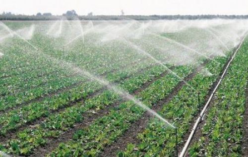 Tanzania to invest $426mln in new irrigation systems
