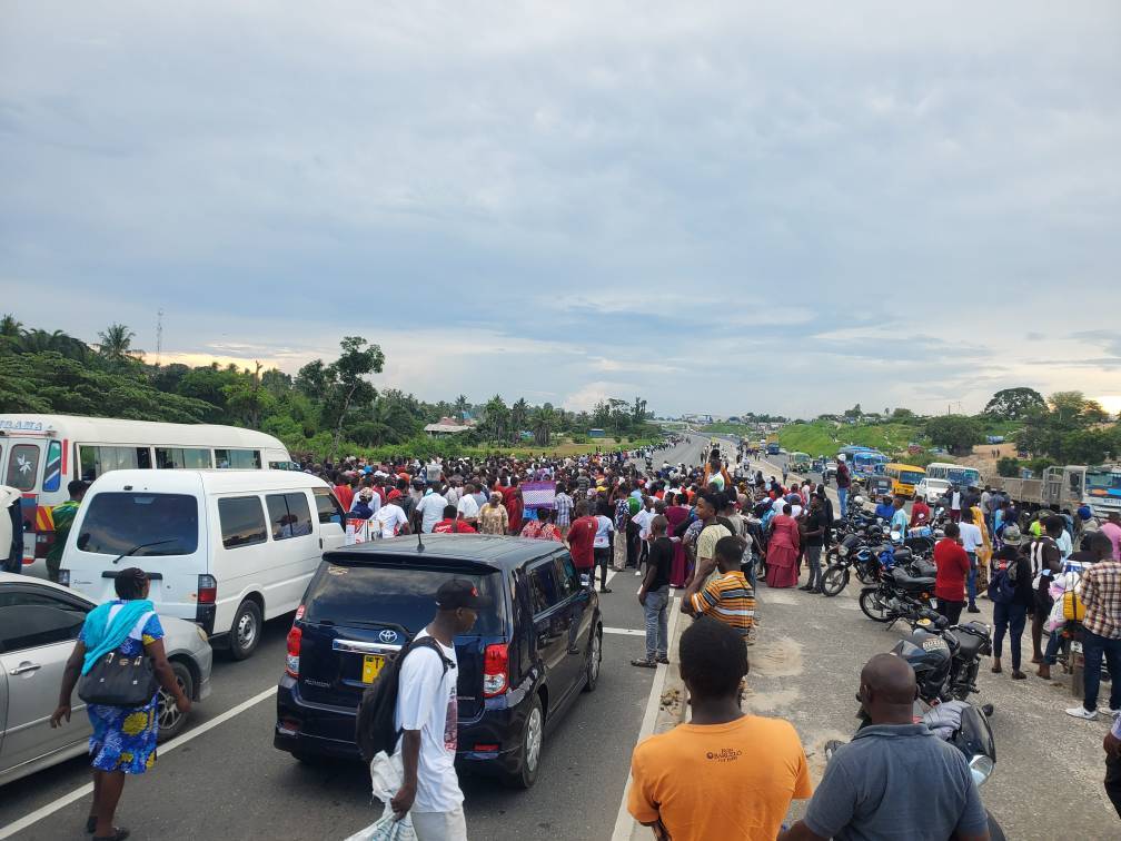 20230329_170645-jpg.2570099