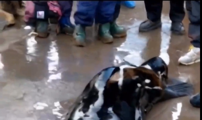 1720603645947-png.3038338