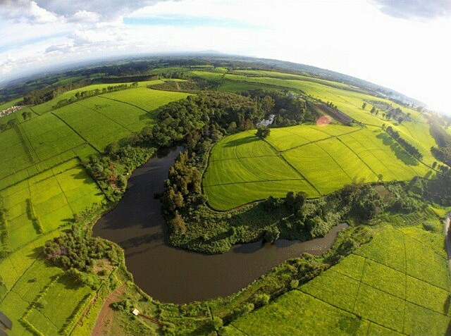 B1qkHv8IYAAmlOF.png:large