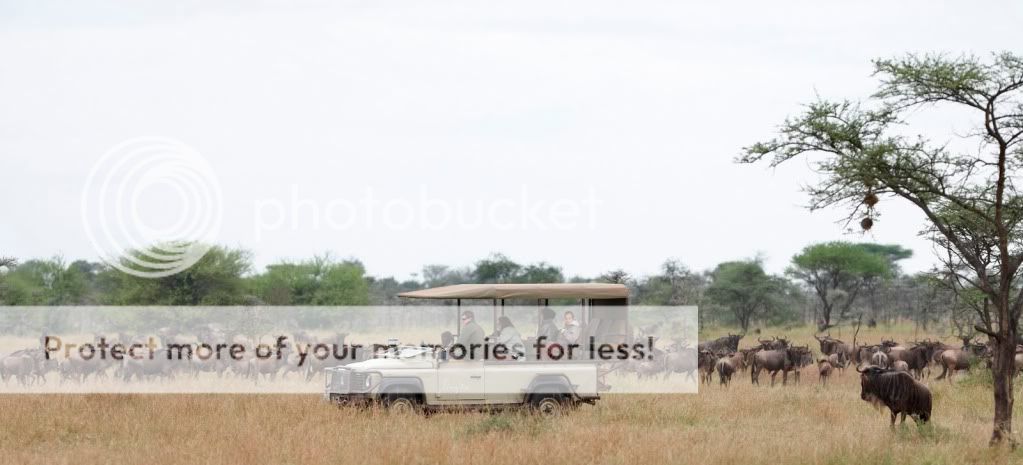 05_Singita_Grumeti_Reserves.jpg