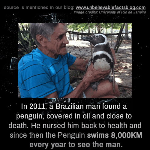 main-qimg-766fd1209ddbf8bb2a2dfc7c7275a76c