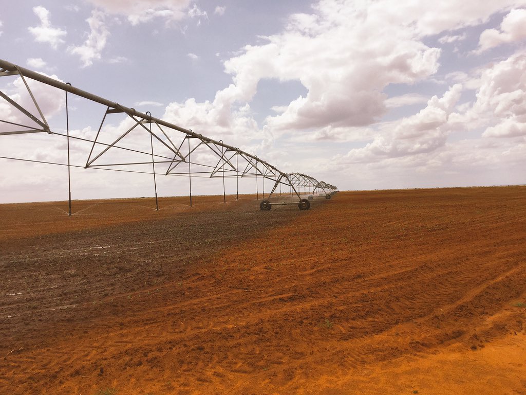 CmbgmjUWIAA05E-.jpg:large