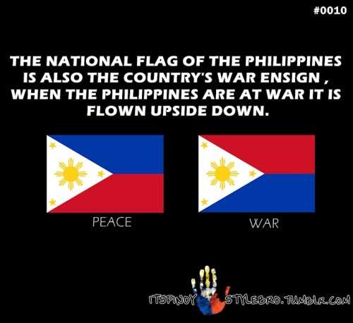 tumblr_m2zr22aj371ruajj7o1_r1_500-jpg.706486