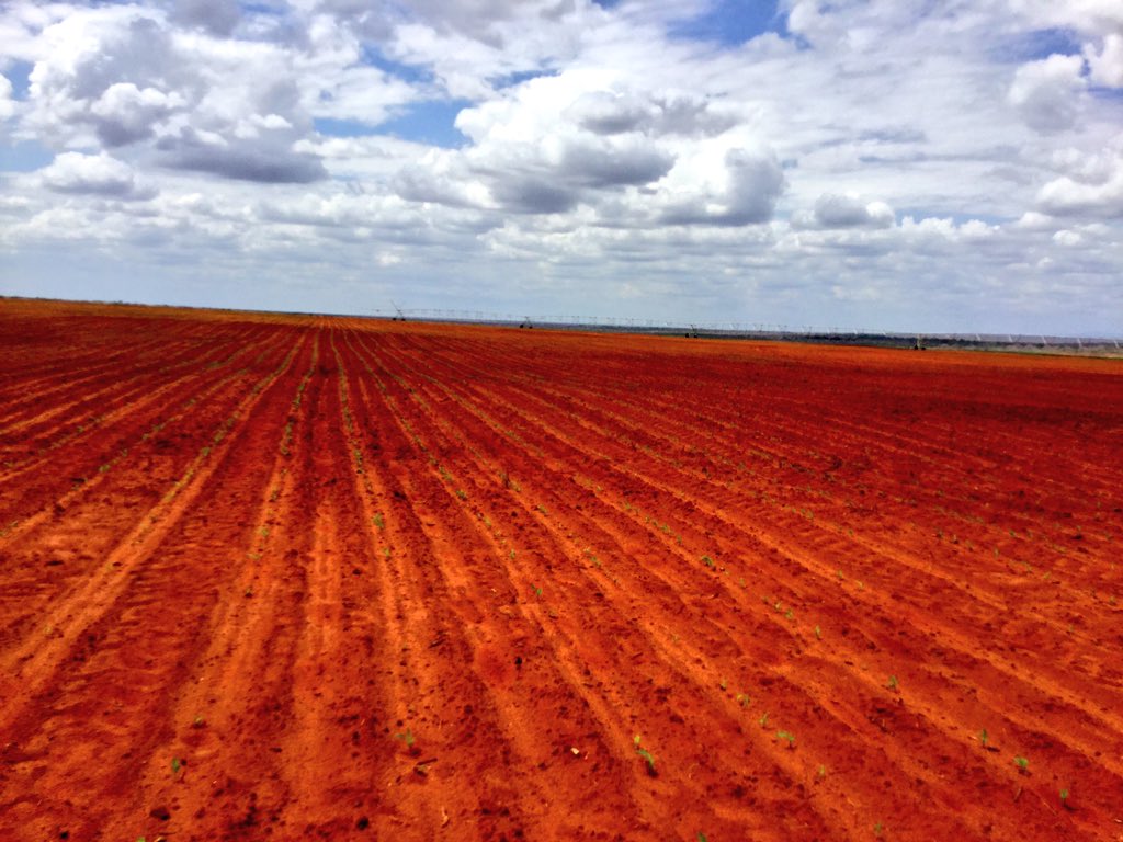 CmbgnEqWcAAOk2f.jpg:large