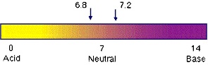 ph-graph.jpg