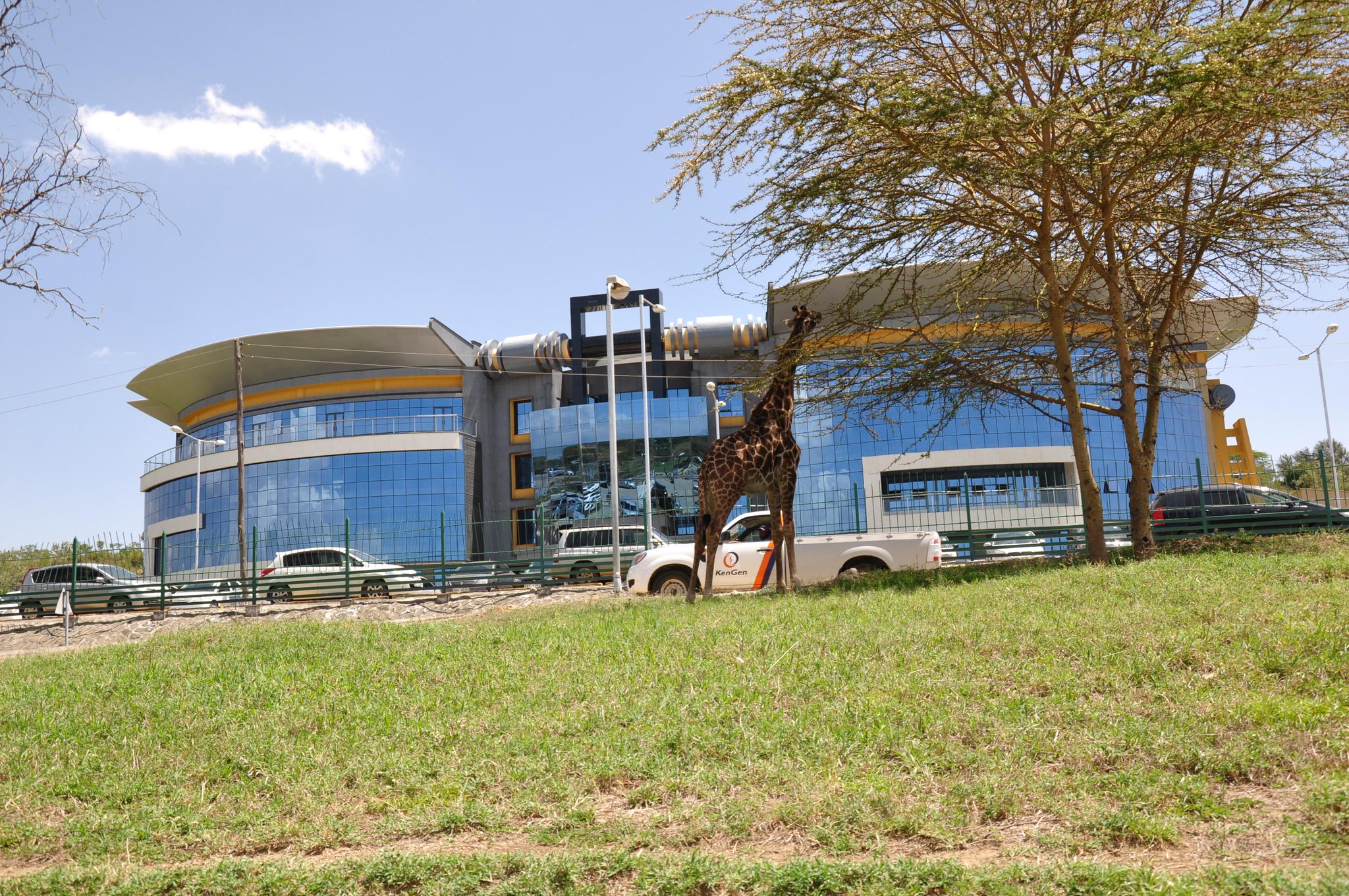 CQpBNsuUcAAlmXd.jpg:large